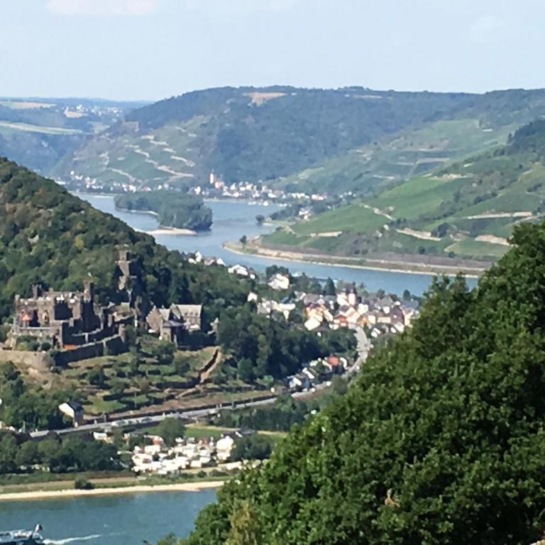 Landgasthof Germania Rüdesheim am Rhein Exterior foto